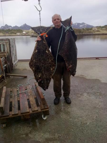 Rooms For Rent Bo (Nordland) Екстериор снимка